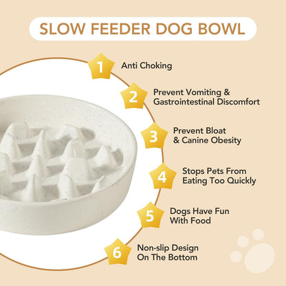 Raised Slow Feeder Dog Bowls, Elevated Dog Bowls Slow Feeder Set