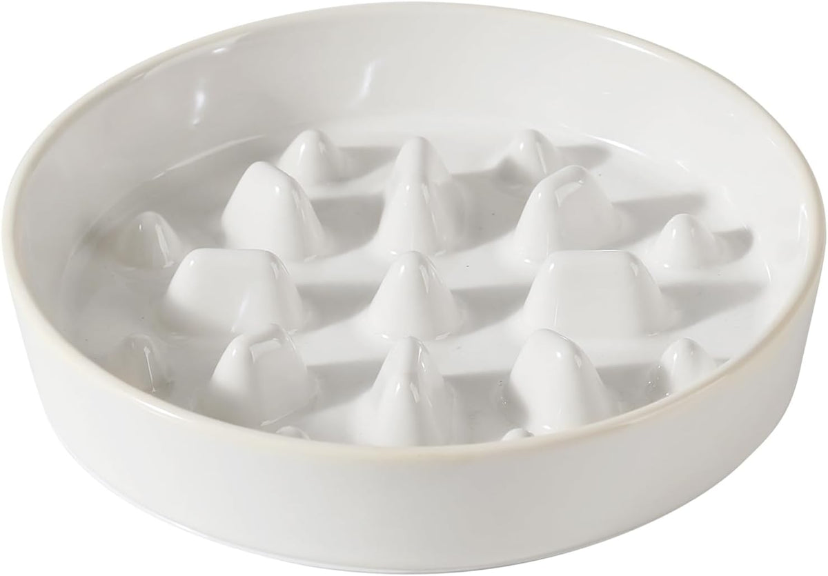 Raised Slow Feeder Dog Bowls, Elevated Dog Bowls Slow Feeder Set