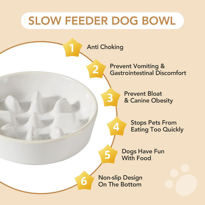 Raised Slow Feeder Dog Bowls, Elevated Dog Bowls Slow Feeder Set