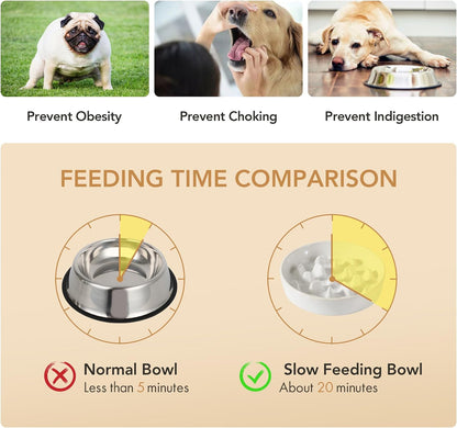 Raised Slow Feeder Dog Bowls, Elevated Dog Bowls Slow Feeder Set
