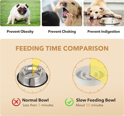 Raised Slow Feeder Dog Bowls, Elevated Dog Bowls Slow Feeder Set