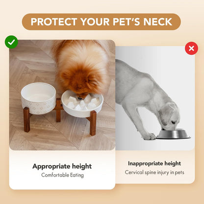 Raised Slow Feeder Dog Bowls, Elevated Dog Bowls Slow Feeder Set