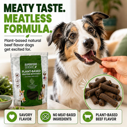Hypoallergenic Healthy Dog Treats: Plant-Based Vegetarian Dog Snacks w/ Kelp, Sweet Potato, Chia, Flaxseed, Coconut Oil for Skin & Coat, Grain & Gluten-Free Vegan Protein Dog Treats Training, 5 oz