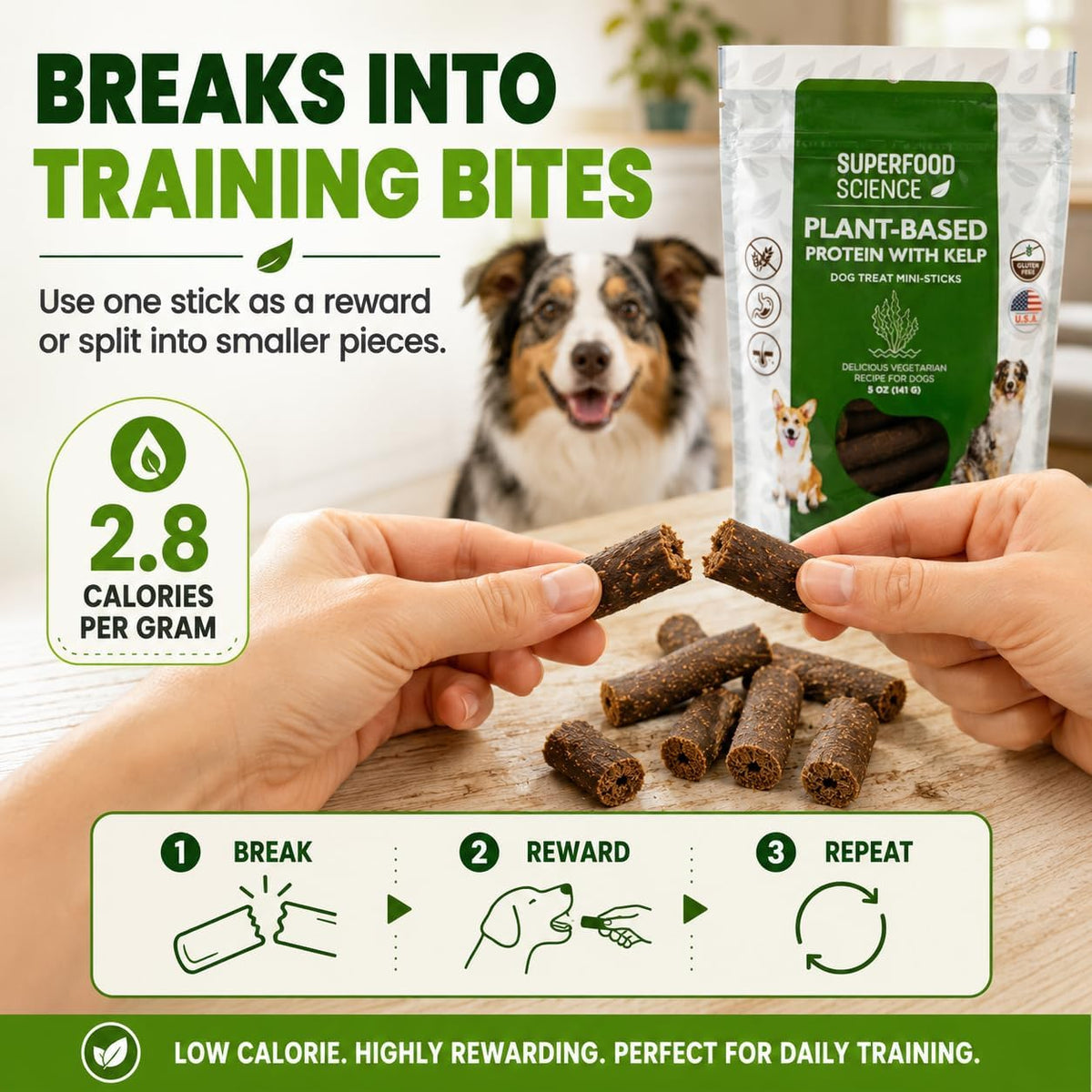 Hypoallergenic Healthy Dog Treats: Plant-Based Vegetarian Dog Snacks w/ Kelp, Sweet Potato, Chia, Flaxseed, Coconut Oil for Skin & Coat, Grain & Gluten-Free Vegan Protein Dog Treats Training, 5 oz