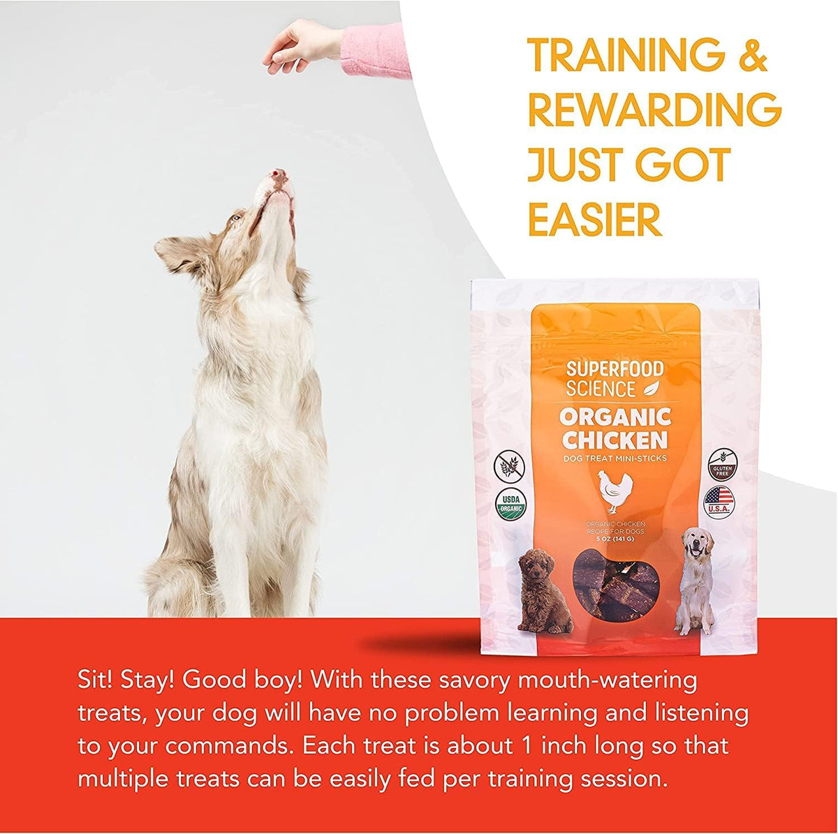 Hypoallergenic Healthy Dog Treats: Plant-Based Vegetarian Dog Snacks w/ Kelp, Sweet Potato, Chia, Flaxseed, Coconut Oil for Skin & Coat, Grain & Gluten-Free Vegan Protein Dog Treats Training, 5 oz