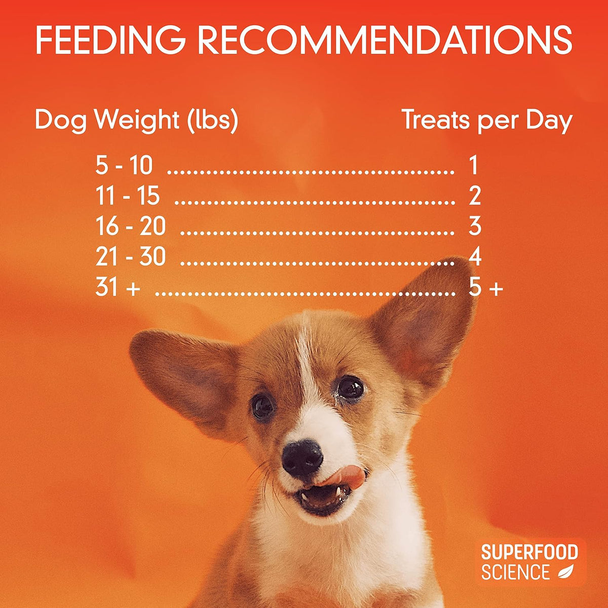 Hypoallergenic Healthy Dog Treats: Plant-Based Vegetarian Dog Snacks w/ Kelp, Sweet Potato, Chia, Flaxseed, Coconut Oil for Skin & Coat, Grain & Gluten-Free Vegan Protein Dog Treats Training, 5 oz