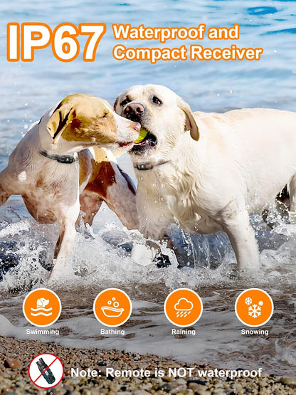 Dog Shock Collar 2 Dogs (5-120Lbs) - 3300 ft Waterproof Training Collar for Dogs Large Medium Small with Rechargeable Remote, Beep (1-8) Vibration (1-16) and Humane Shock (1-99) Modes