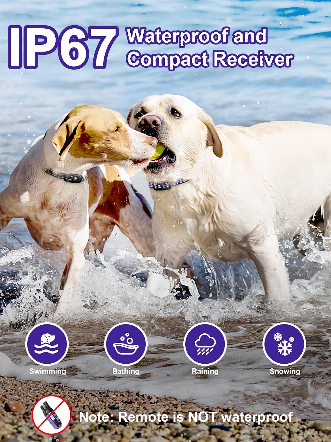 Dog Shock Collar 2 Dogs (5-120Lbs) - 3300 ft Waterproof Training Collar for Dogs Large Medium Small with Rechargeable Remote, Beep (1-8) Vibration (1-16) and Humane Shock (1-99) Modes