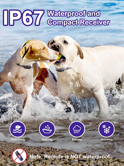 Dog Shock Collar 2 Dogs (5-120Lbs) - 3300 ft Waterproof Training Collar for Dogs Large Medium Small with Rechargeable Remote, Beep (1-8) Vibration (1-16) and Humane Shock (1-99) Modes