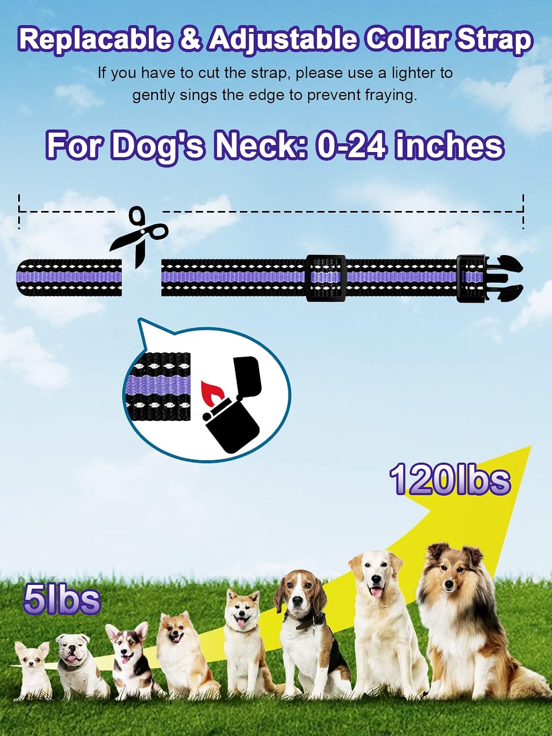 Dog Shock Collar 2 Dogs (5-120Lbs) - 3300 ft Waterproof Training Collar for Dogs Large Medium Small with Rechargeable Remote, Beep (1-8) Vibration (1-16) and Humane Shock (1-99) Modes