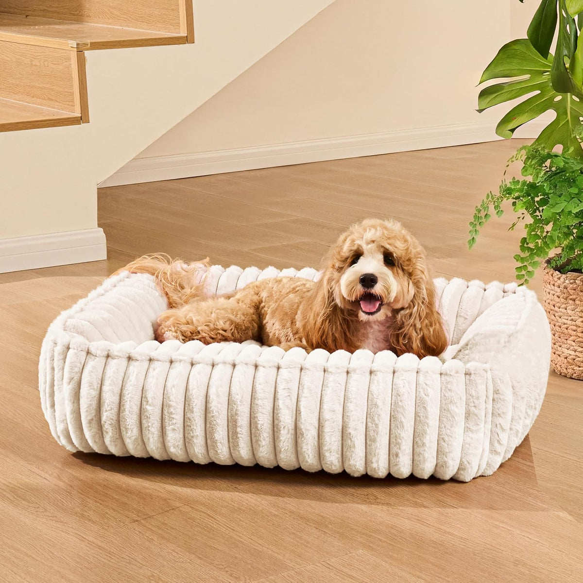 Medium Dog Bed Calming Cat Bed for Indoor Cats 24’’x20’’SageGrey