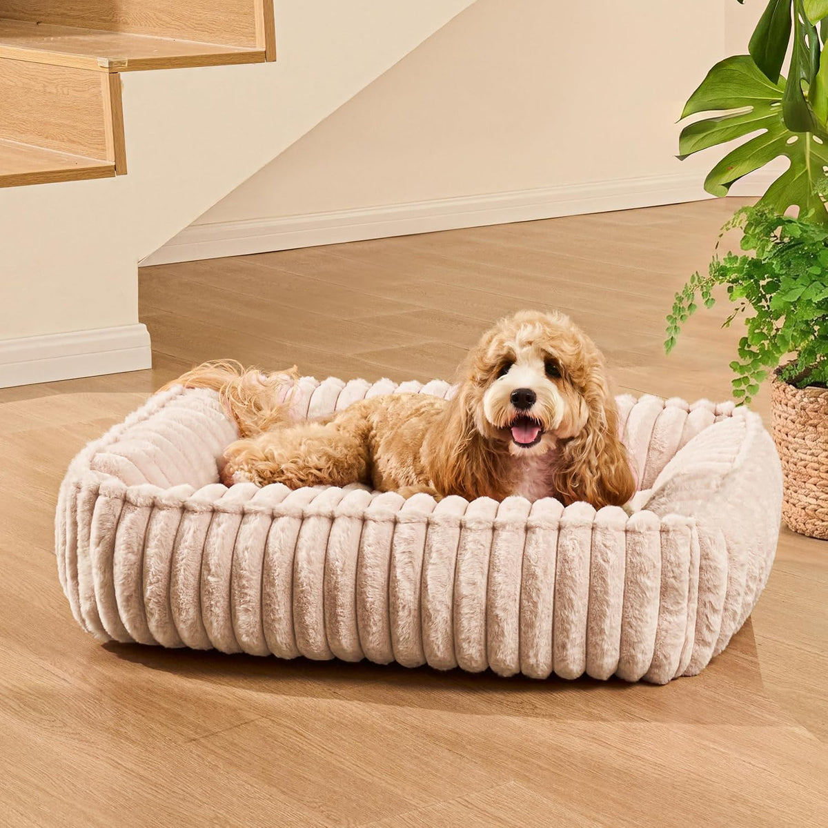 Medium Dog Bed Calming Cat Bed for Indoor Cats 24’’x20’’SageGrey
