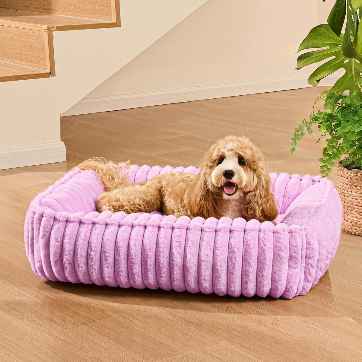 Medium Dog Bed Calming Cat Bed for Indoor Cats 24’’x20’’SageGrey