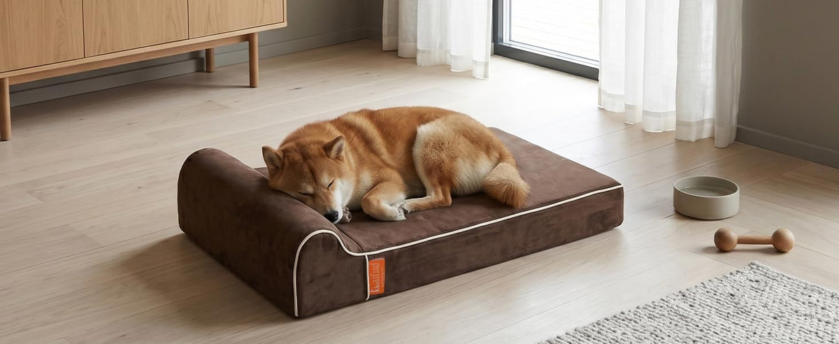 Orthopedic Dog Bed, Slate Grey 50''x36''x10'', Memory Foam