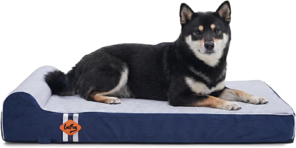 Orthopedic Dog Bed, Slate Grey 50''x36''x10'', Memory Foam