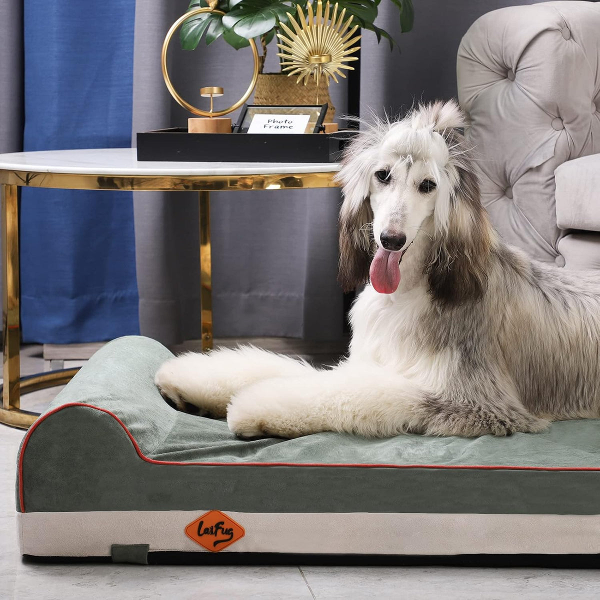 Orthopedic Dog Bed, Slate Grey 50''x36''x10'', Memory Foam