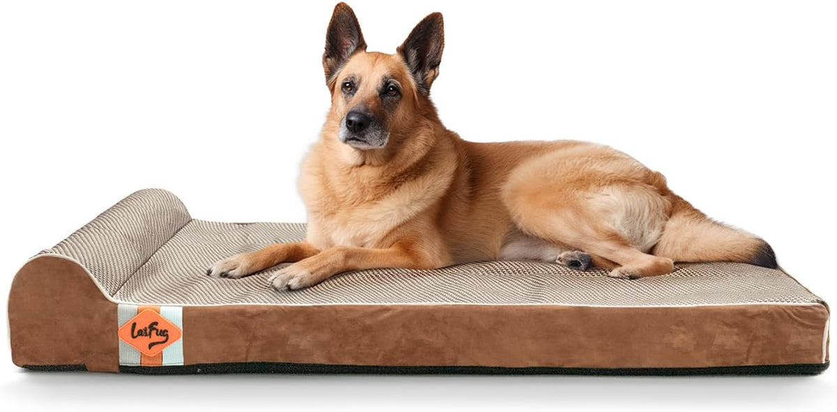 Orthopedic Dog Bed, Slate Grey 50''x36''x10'', Memory Foam