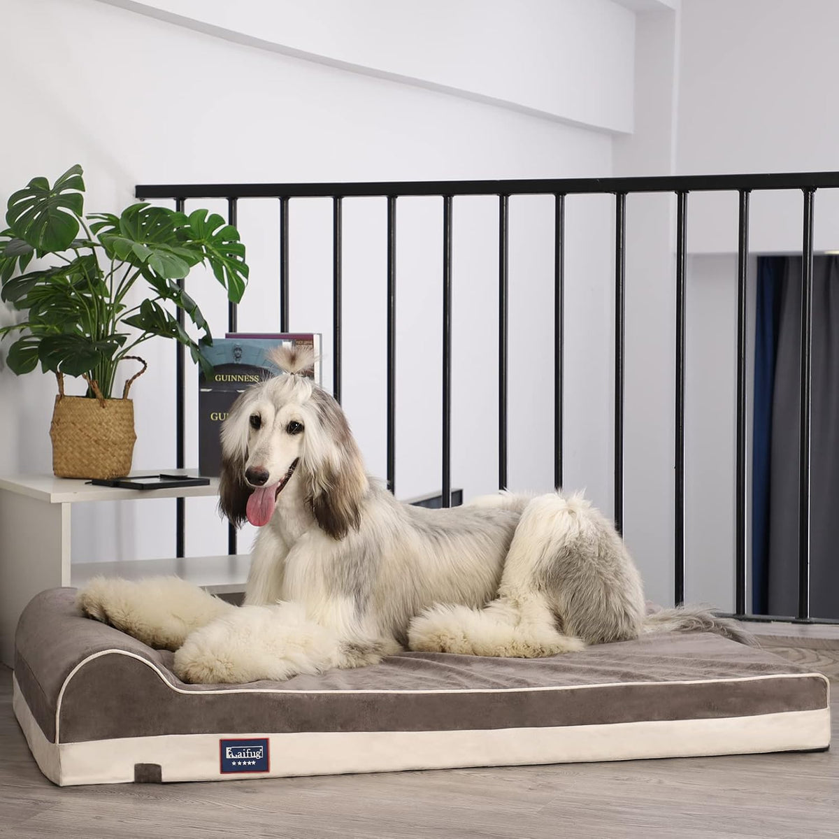 Orthopedic Dog Bed, Slate Grey 50''x36''x10'', Memory Foam