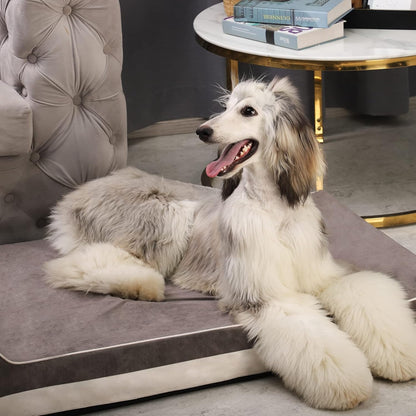 Orthopedic Dog Bed, Slate Grey 50''x36''x10'', Memory Foam