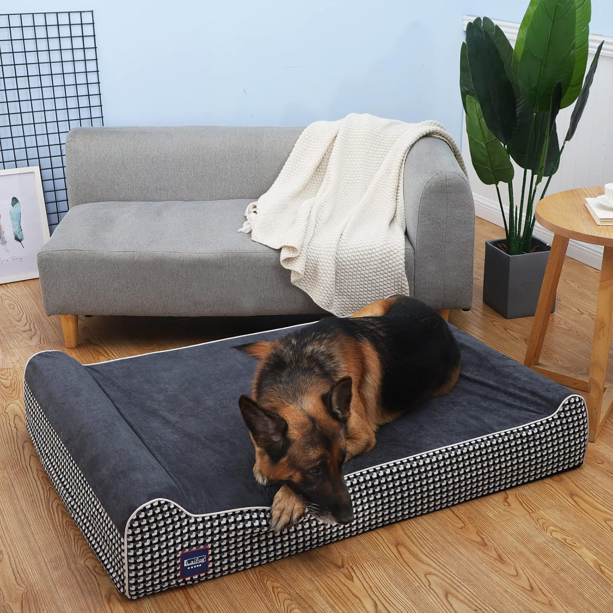 Orthopedic Dog Bed, Slate Grey 50''x36''x10'', Memory Foam