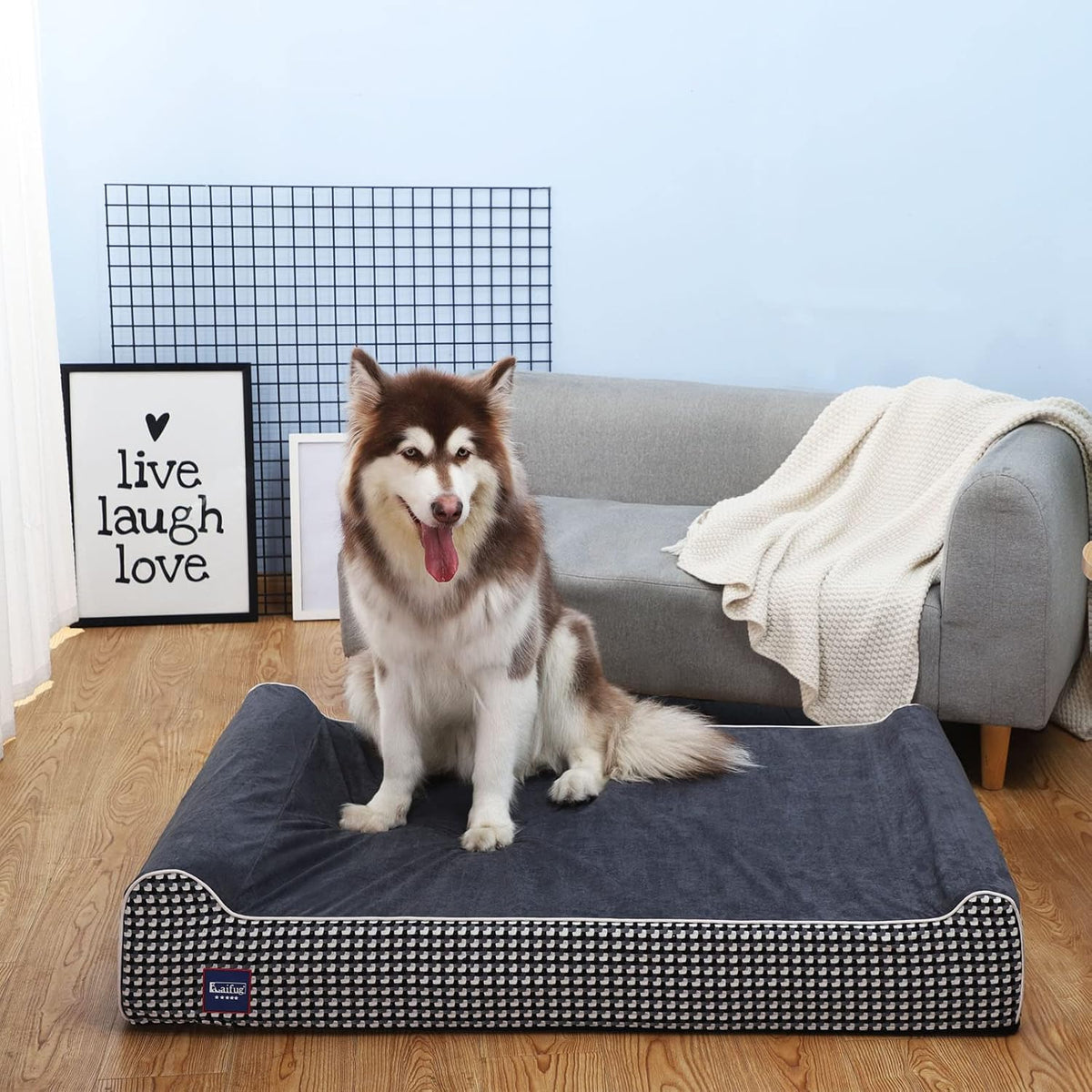 Orthopedic Dog Bed, Slate Grey 50''x36''x10'', Memory Foam