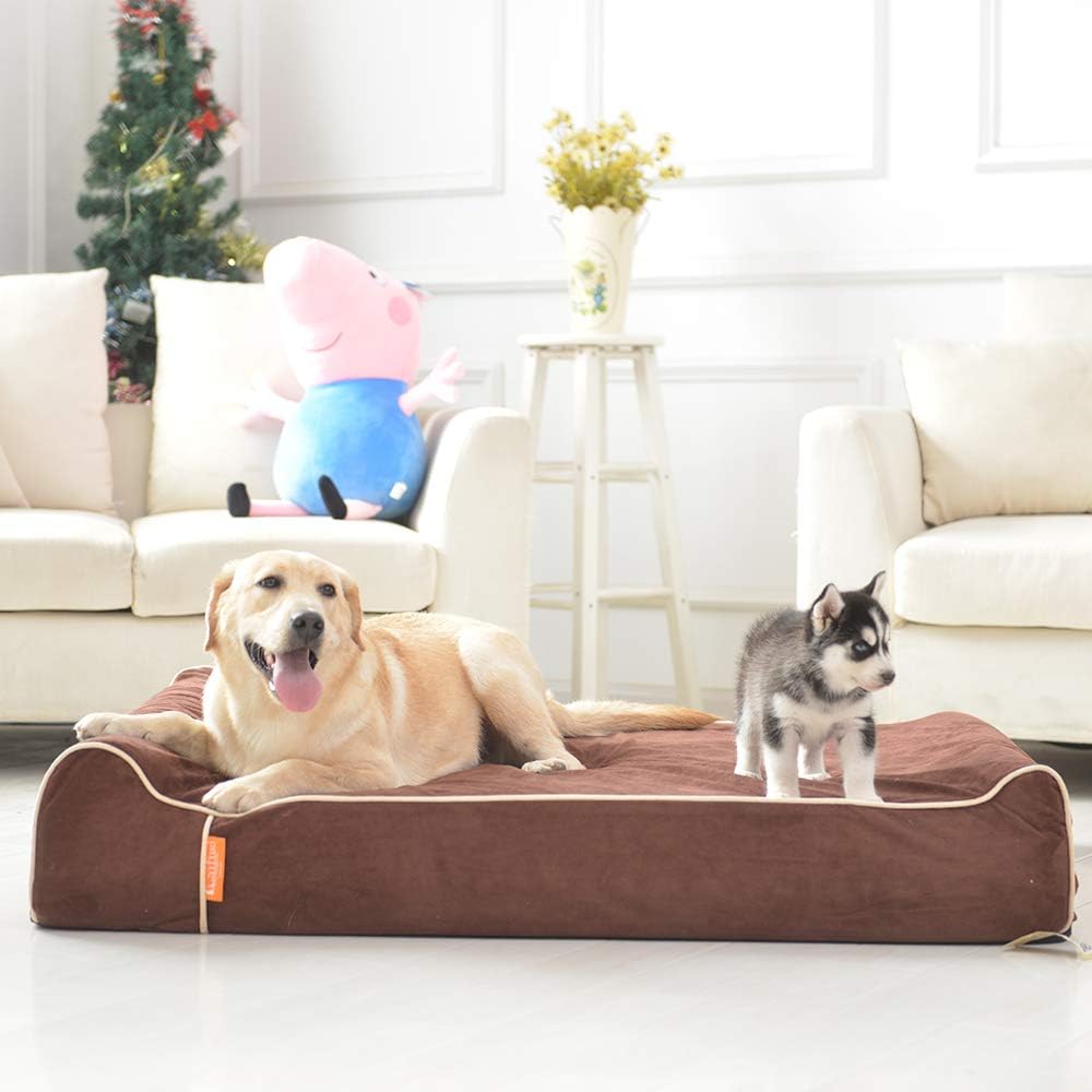 Orthopedic Dog Bed, Slate Grey 50''x36''x10'', Memory Foam
