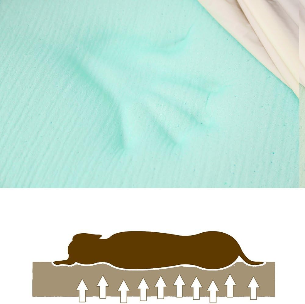 Orthopedic Dog Bed, Slate Grey 50''x36''x10'', Memory Foam