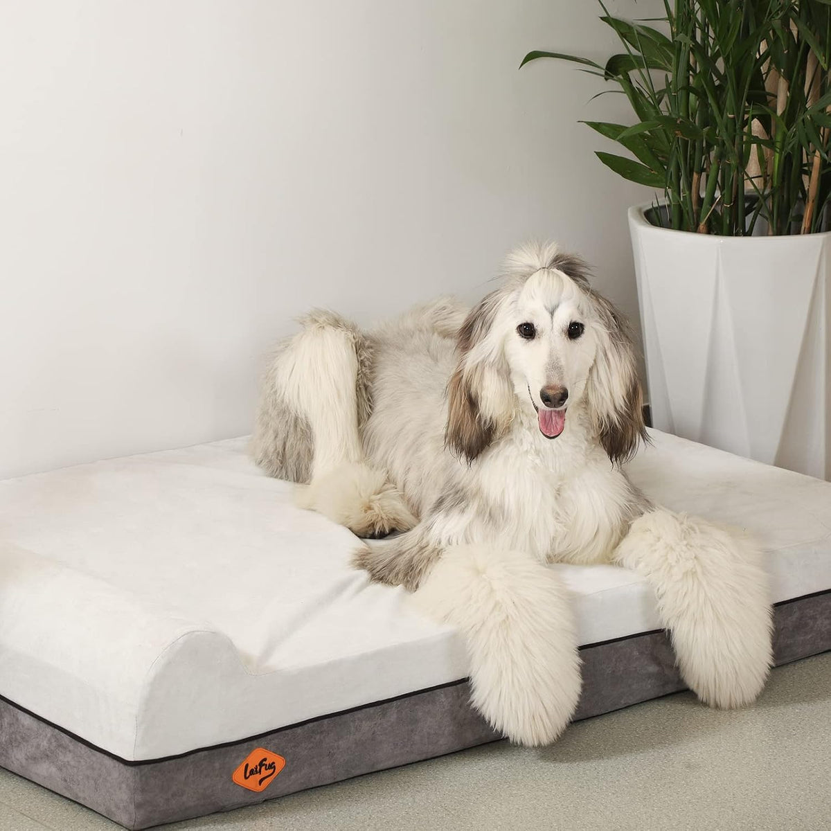 Orthopedic Dog Bed, Slate Grey 50''x36''x10'', Memory Foam
