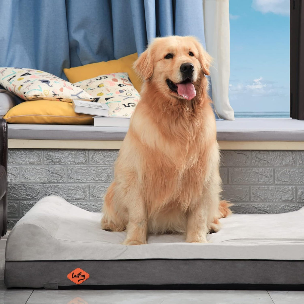 Orthopedic Dog Bed, Slate Grey 50''x36''x10'', Memory Foam