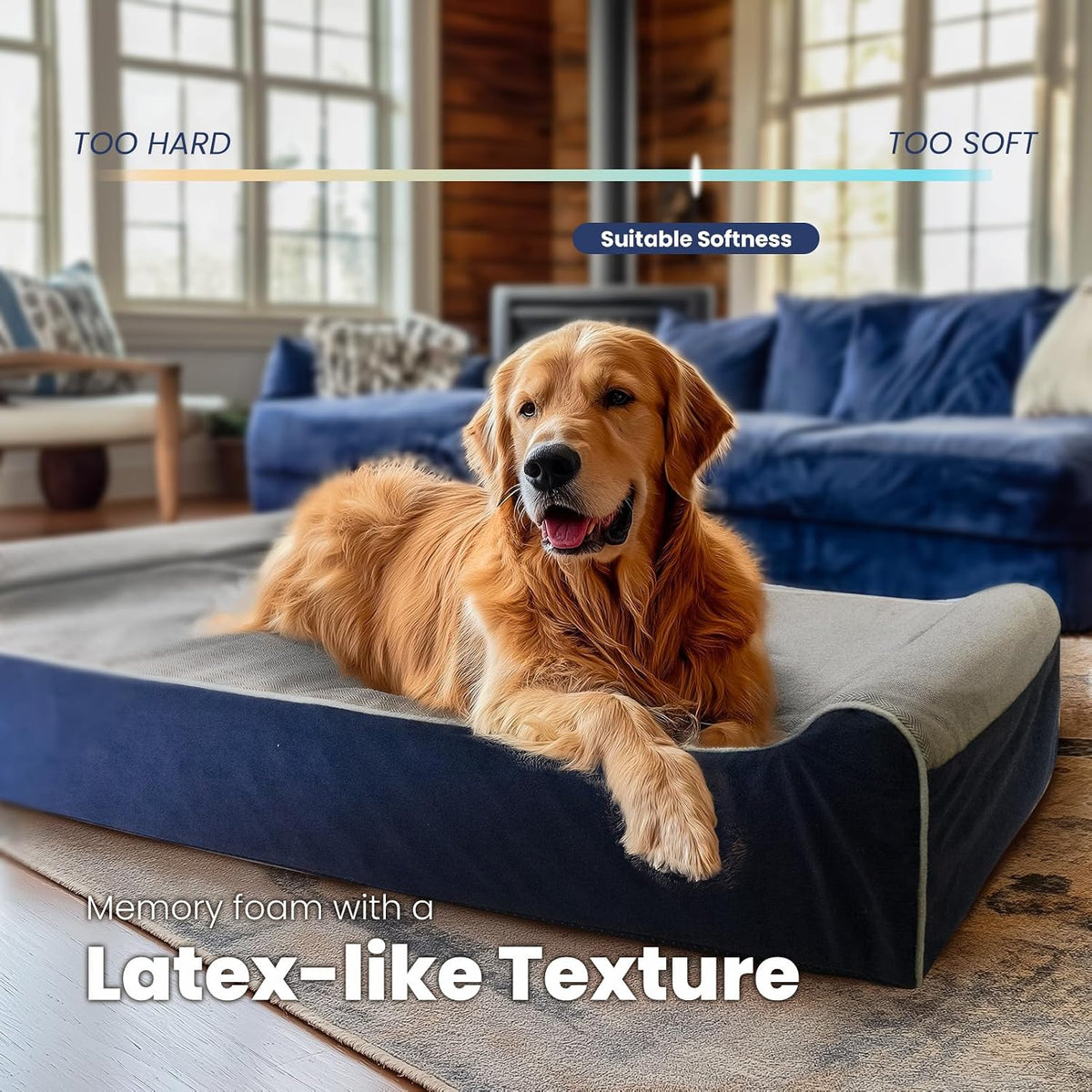 Orthopedic Dog Bed, Slate Grey 50''x36''x10'', Memory Foam