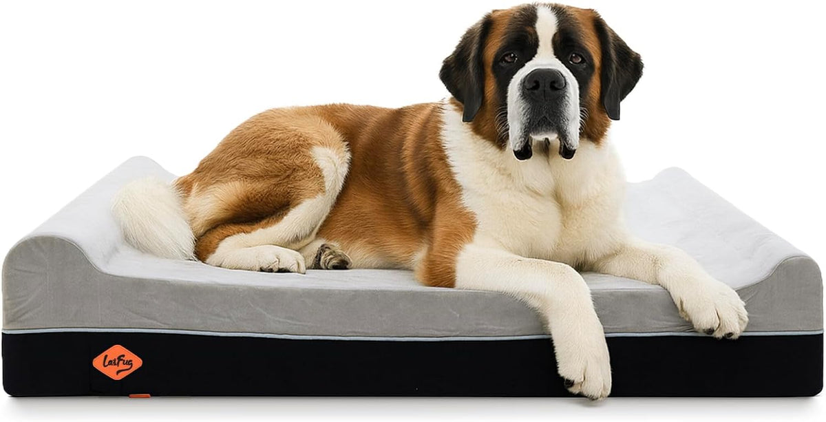Orthopedic Dog Bed, Slate Grey 50''x36''x10'', Memory Foam
