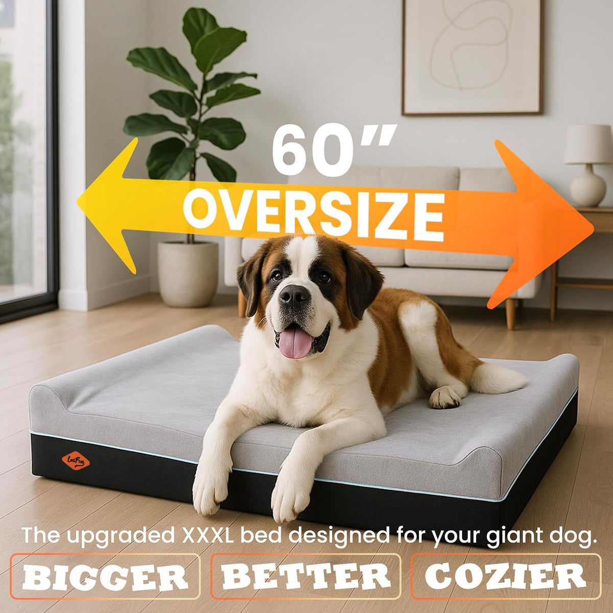 Orthopedic Dog Bed, Slate Grey 50''x36''x10'', Memory Foam