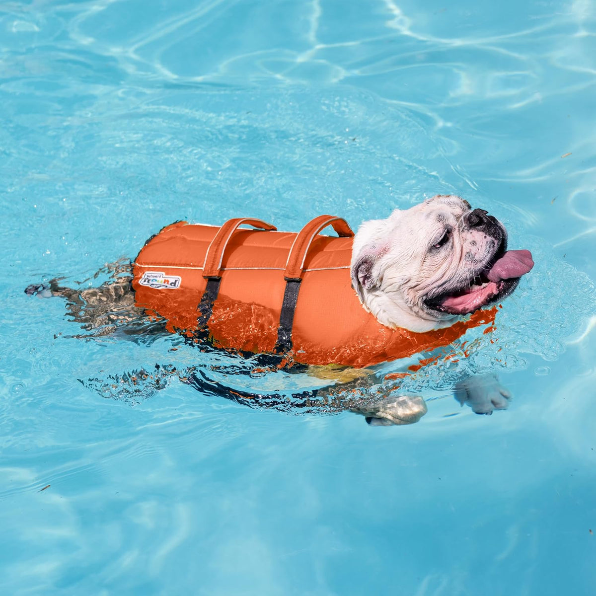 Granby Splash Dog Life Jacket, Life Vest, Orange, Large