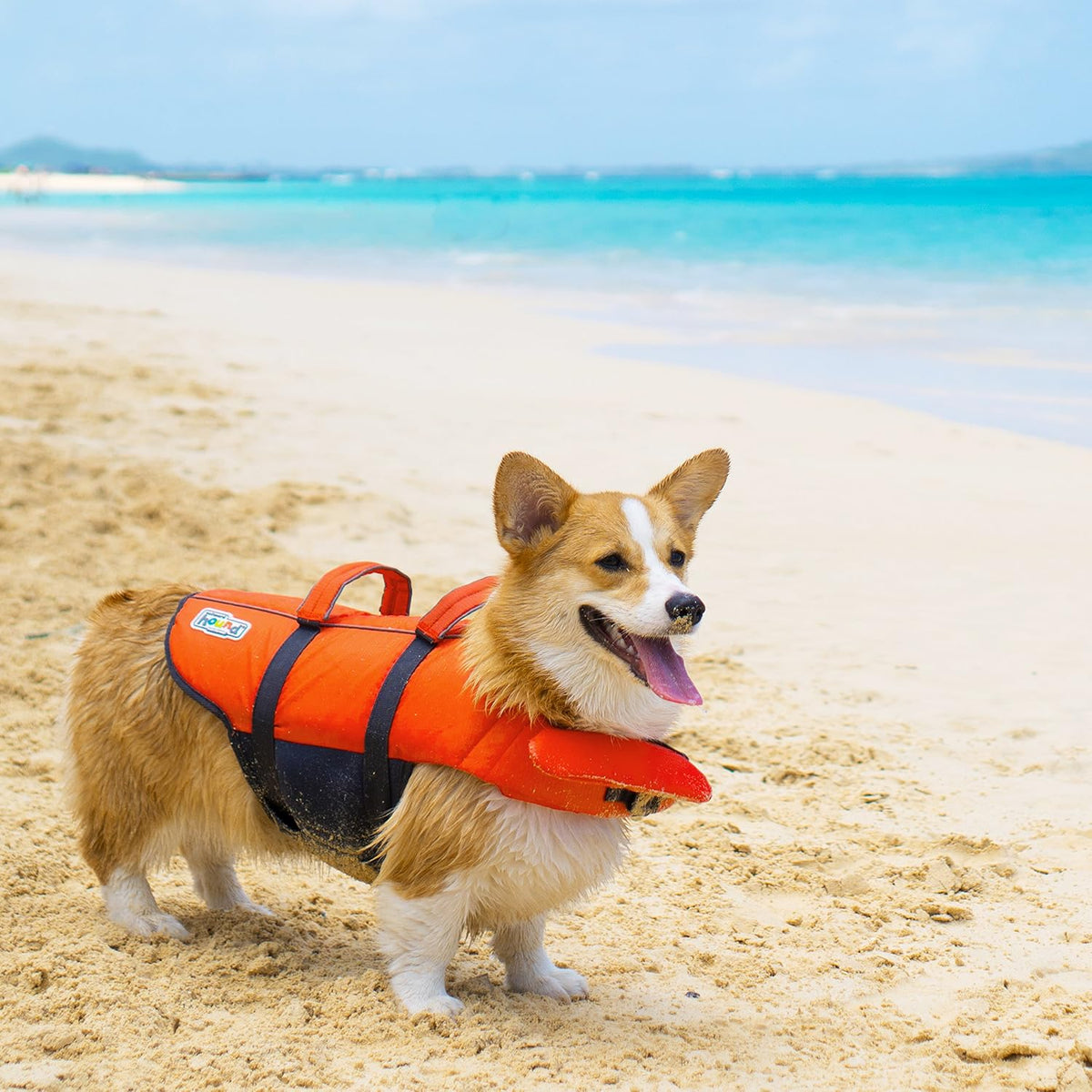 Granby Splash Dog Life Jacket, Life Vest, Orange, Large