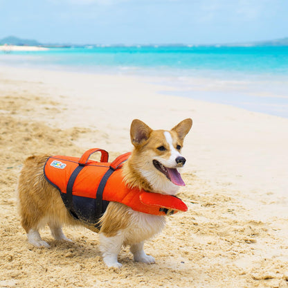 Granby Splash Dog Life Jacket, Life Vest, Orange, Large