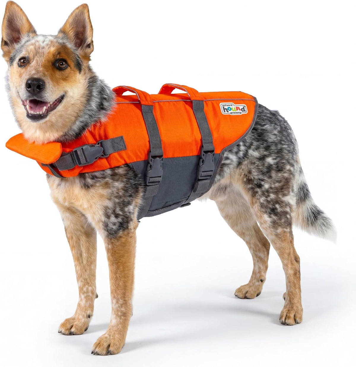 Granby Splash Dog Life Jacket, Life Vest, Orange, Large