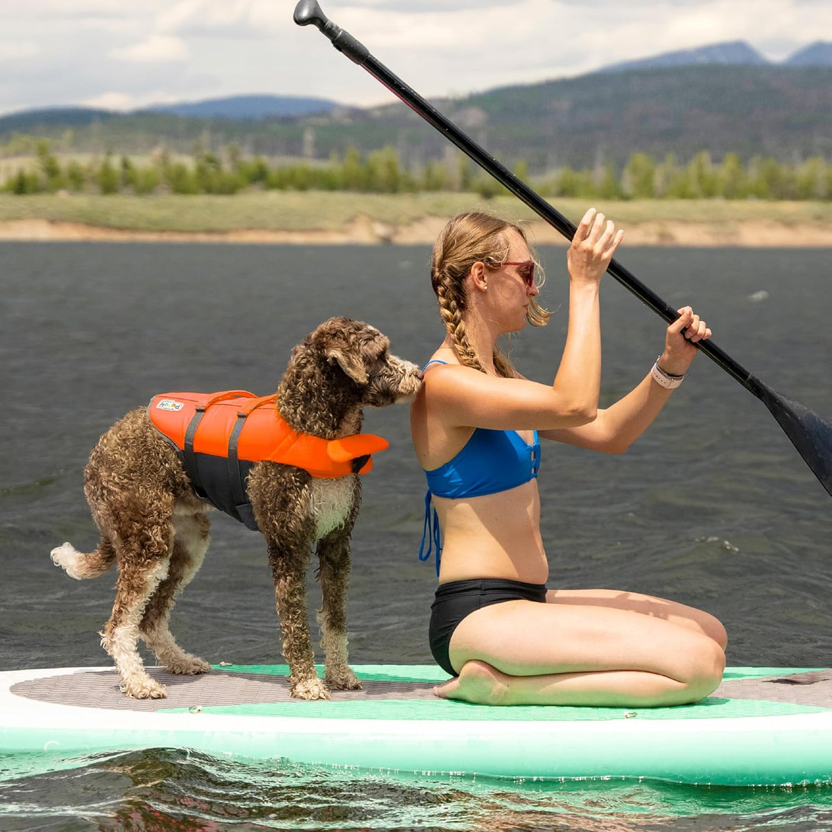 Granby Splash Dog Life Jacket, Life Vest, Orange, Large