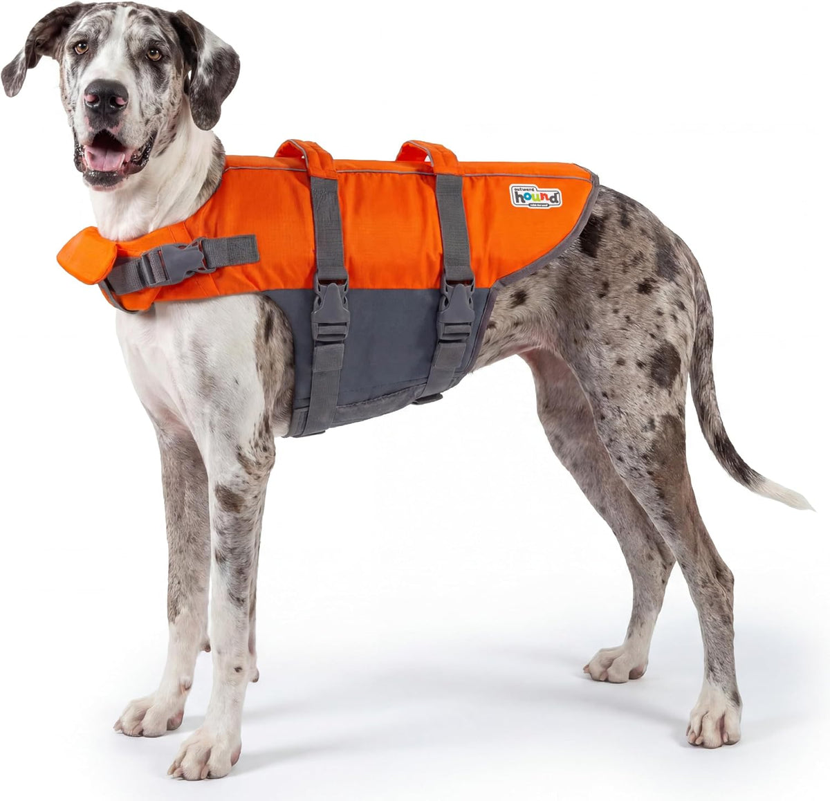 Granby Splash Dog Life Jacket, Life Vest, Orange, Large