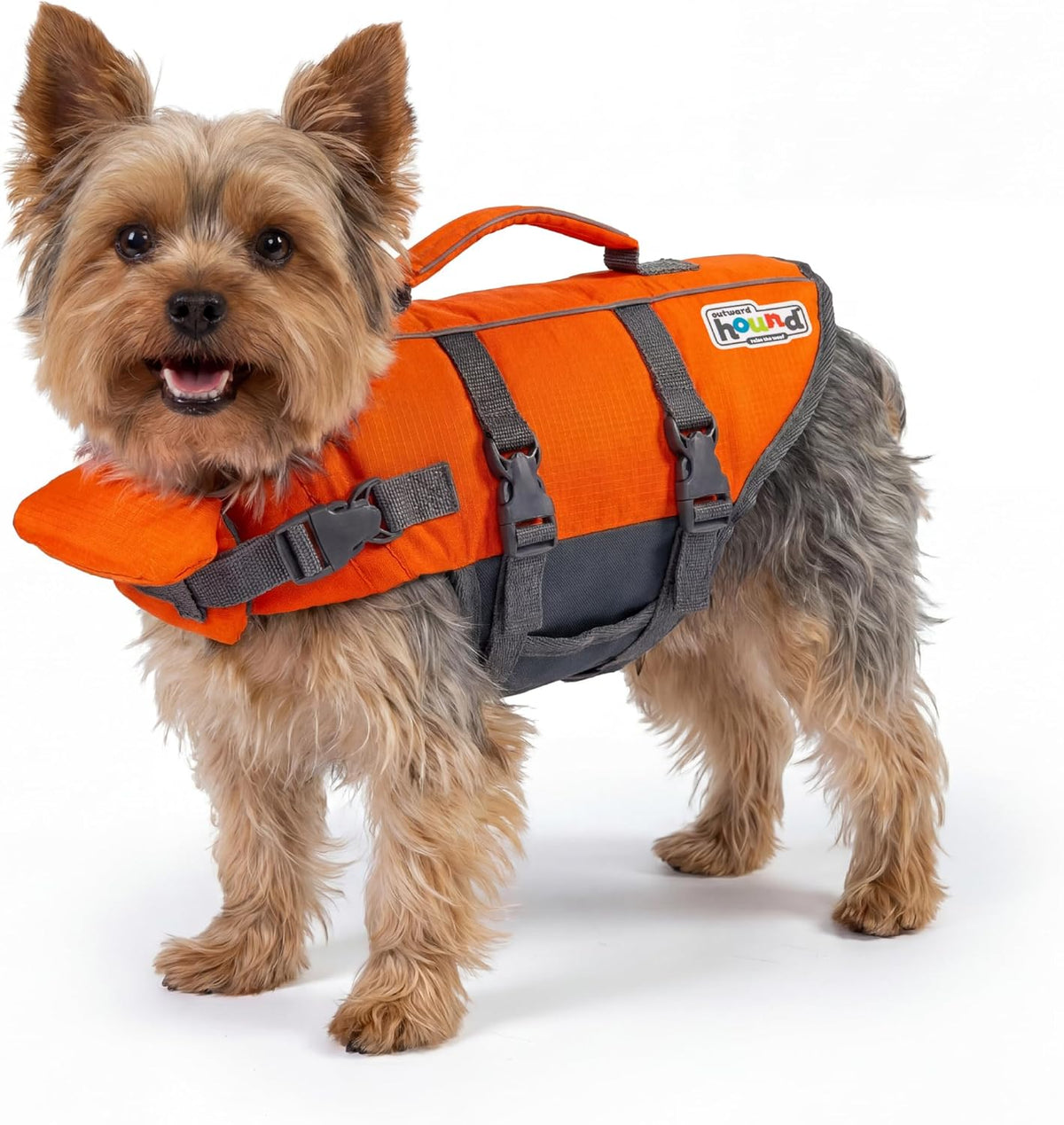 Granby Splash Dog Life Jacket, Life Vest, Orange, Large