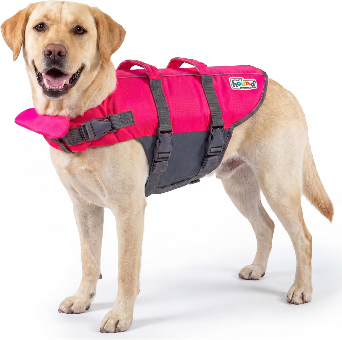 Granby Splash Dog Life Jacket, Life Vest, Orange, Large