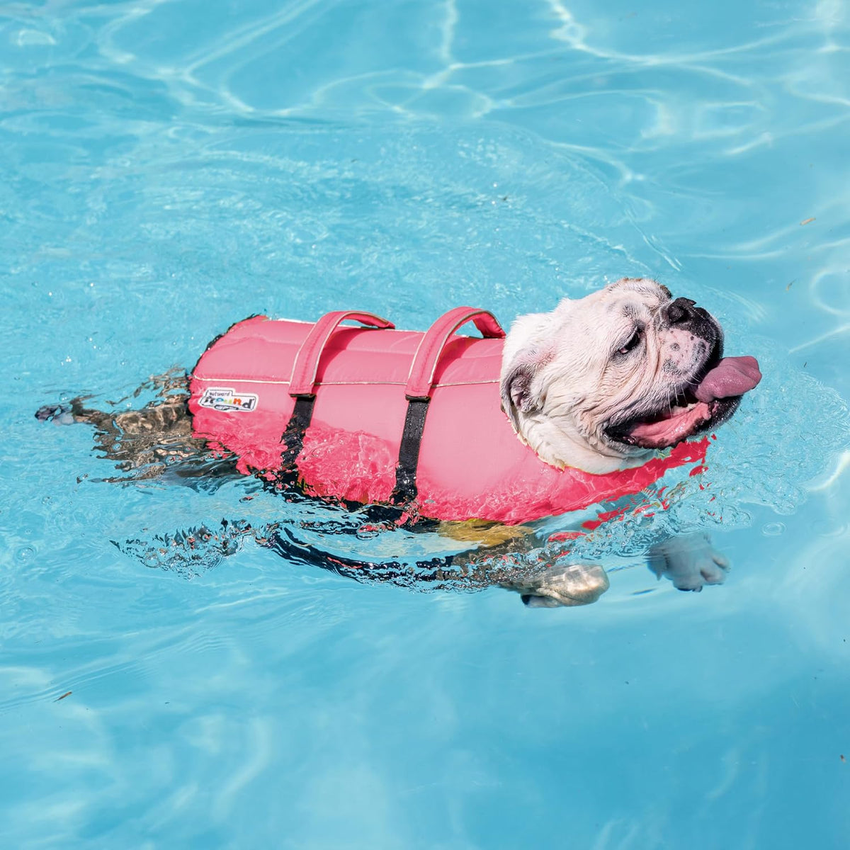 Granby Splash Dog Life Jacket, Life Vest, Orange, Large