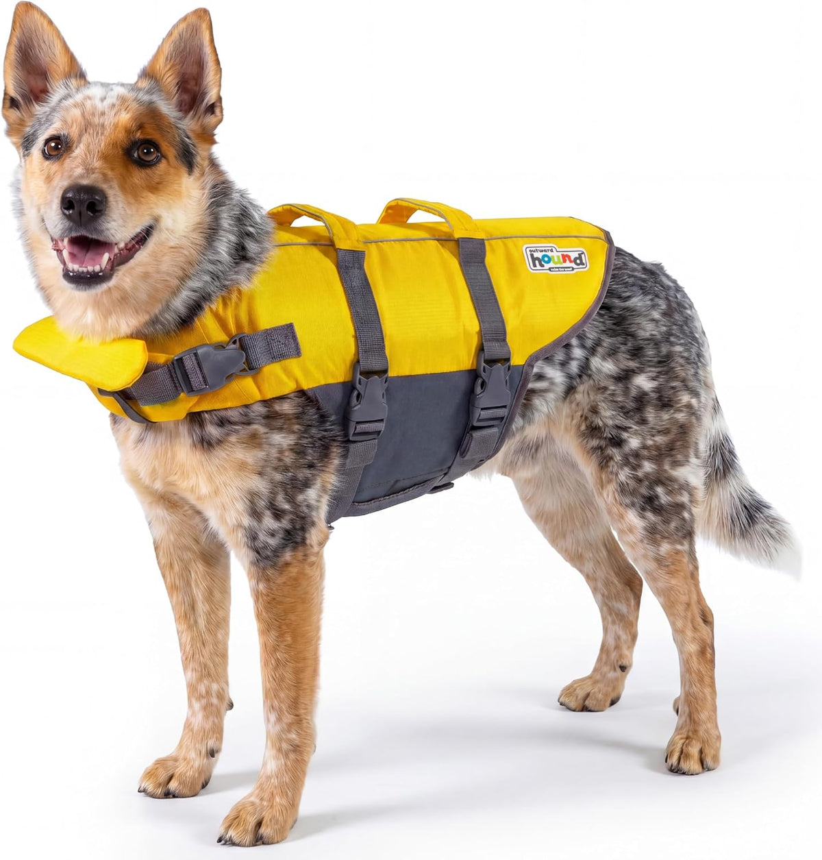 Granby Splash Dog Life Jacket, Life Vest, Orange, Large