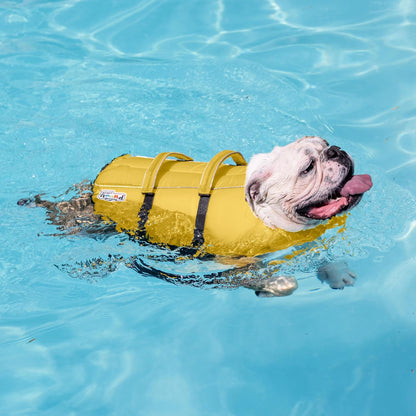 Granby Splash Dog Life Jacket, Life Vest, Orange, Large
