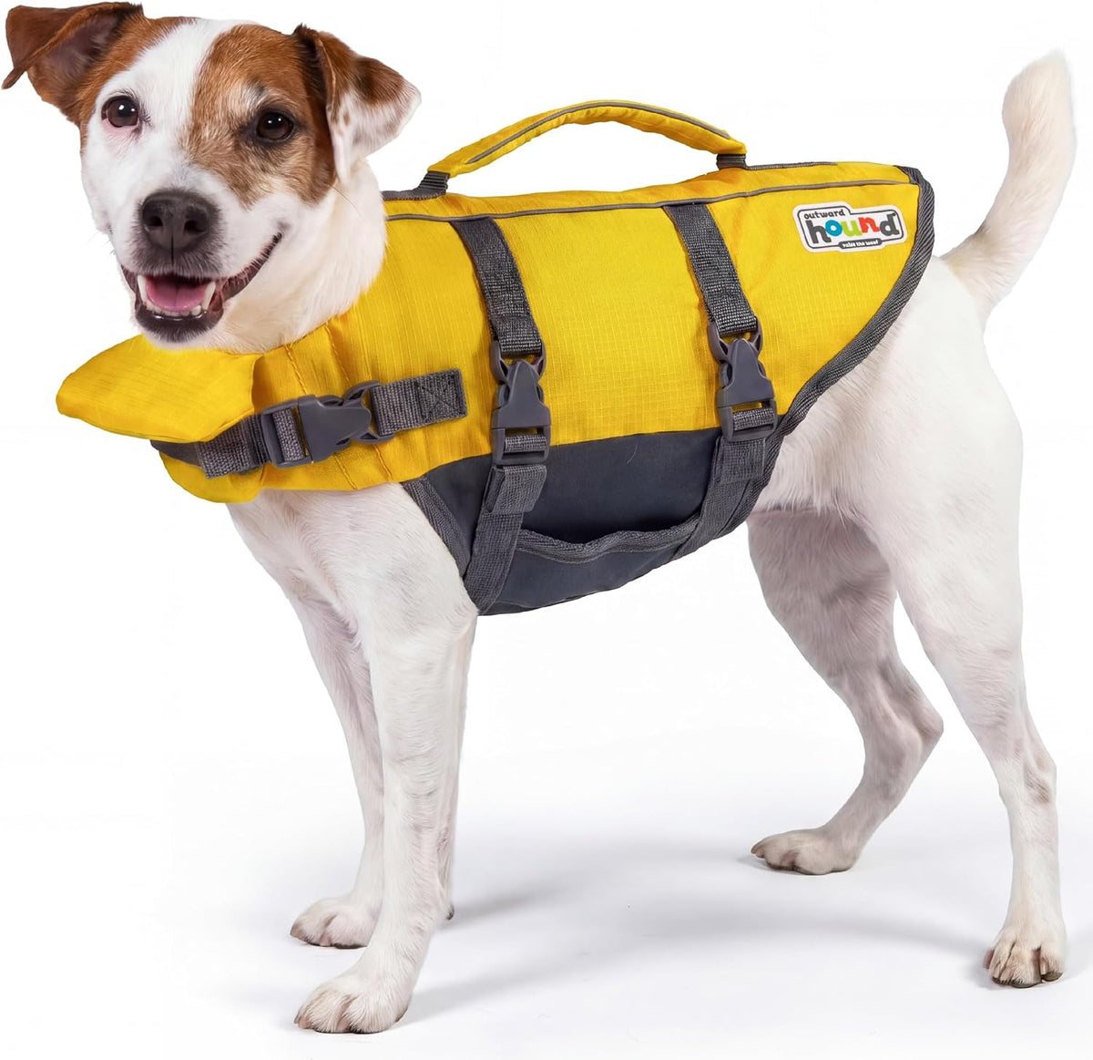 Granby Splash Dog Life Jacket, Life Vest, Orange, Large