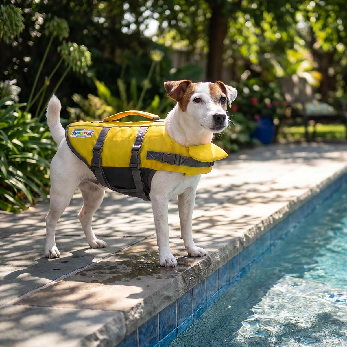 Granby Splash Dog Life Jacket, Life Vest, Orange, Large