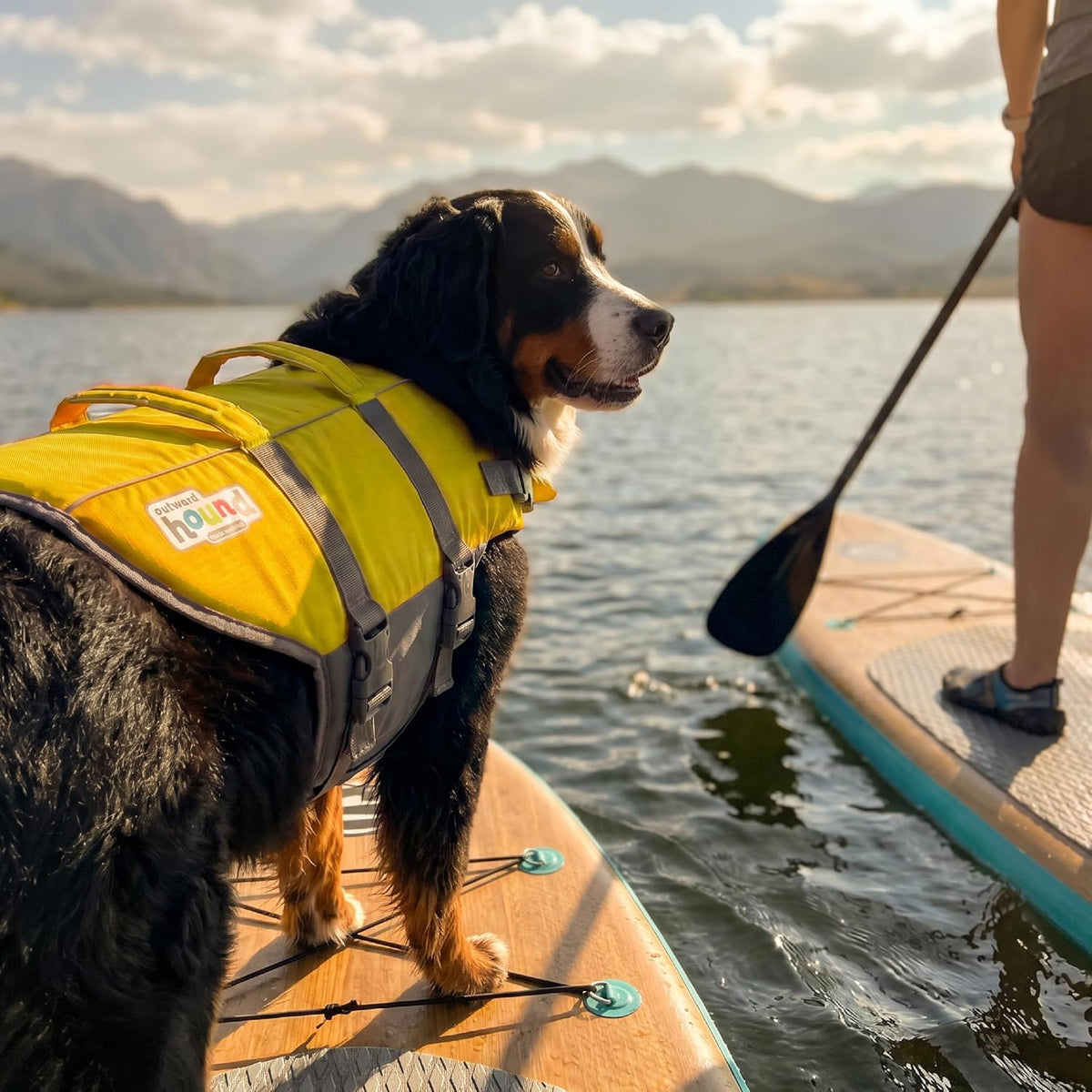 Granby Splash Dog Life Jacket, Life Vest, Orange, Large
