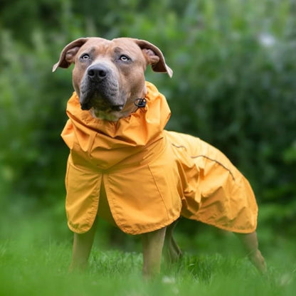 Dog Raincoat - Waterproof Rain Jacket w/Hood, Full Coverage