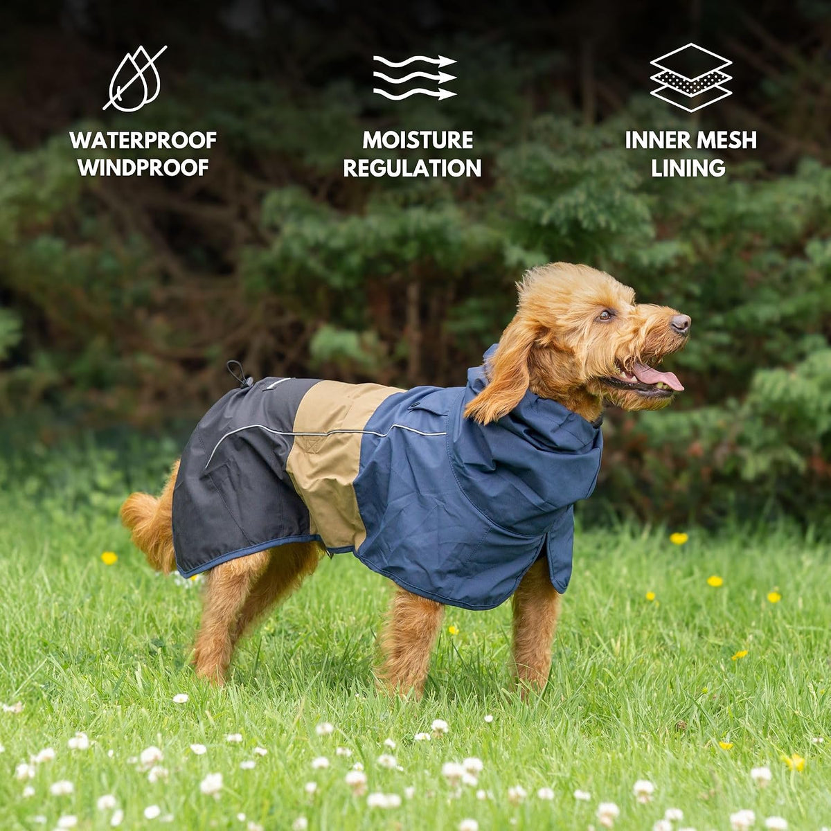 Dog Raincoat - Waterproof Rain Jacket w/Hood, Full Coverage
