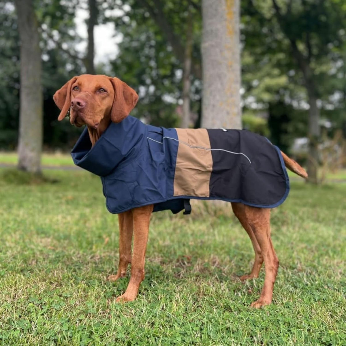 Dog Raincoat - Waterproof Rain Jacket w/Hood, Full Coverage
