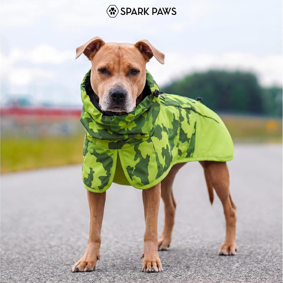 Dog Raincoat - Waterproof Rain Jacket w/Hood, Full Coverage